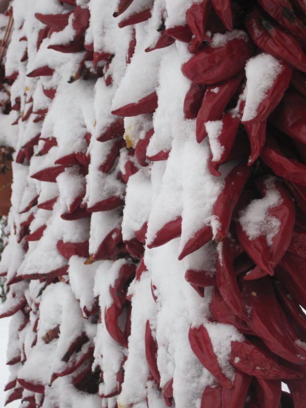 Paprika garlands under snow. Merry Christmas!!