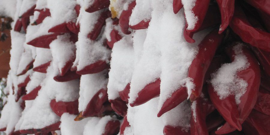 Paprika garlands under snow. Merry Christmas!!