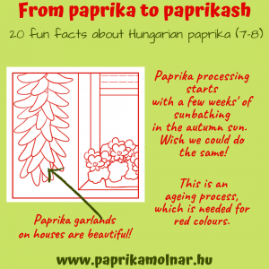 From Paprika to Paprikash