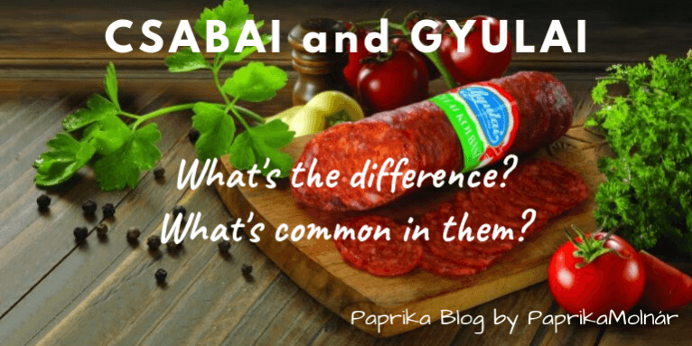 CSABAI és GYULAI ENG Csabai and Gyulai