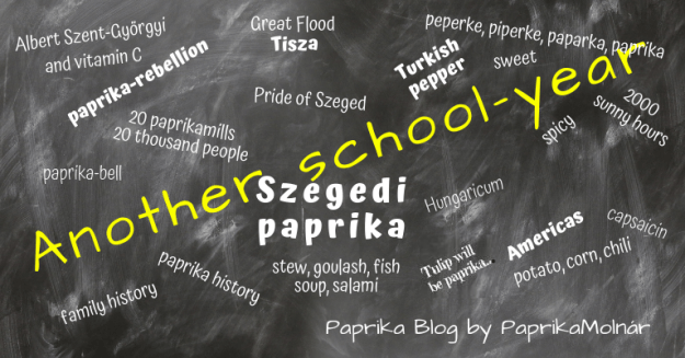 Paprika in education