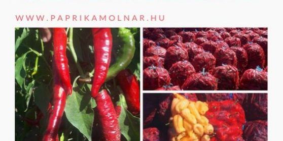 Autumn greetings from paprikaMolnár Ltd