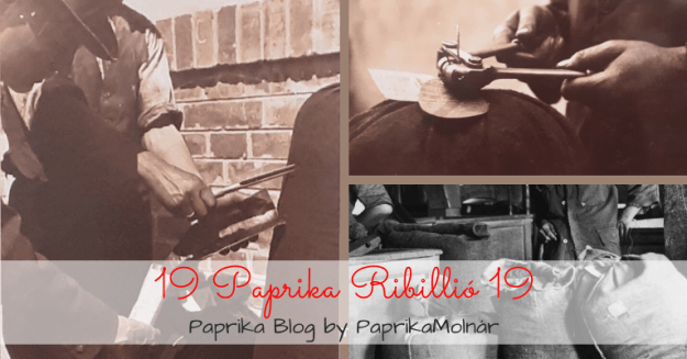Happened exactly 100 years ago! Paprika order and paprika-uprising. I. part