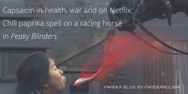 Chili paprika spell on a racing horse Chili paprika spell on a racing horse