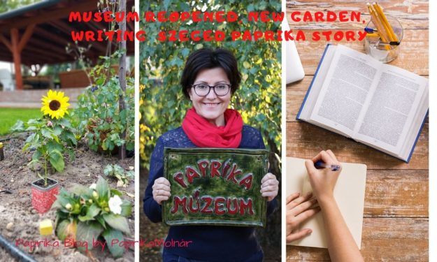 PaprikaMolnar Museum update PaprikaMolnar Museum update